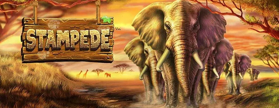 Stampede